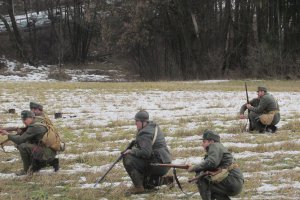 Mija 100 lat od przyłączenia Śląska Cieszyńskiego do Polski 15