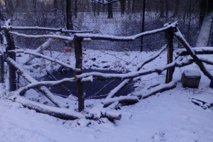 Zima zawitała do naszego muzeum 7